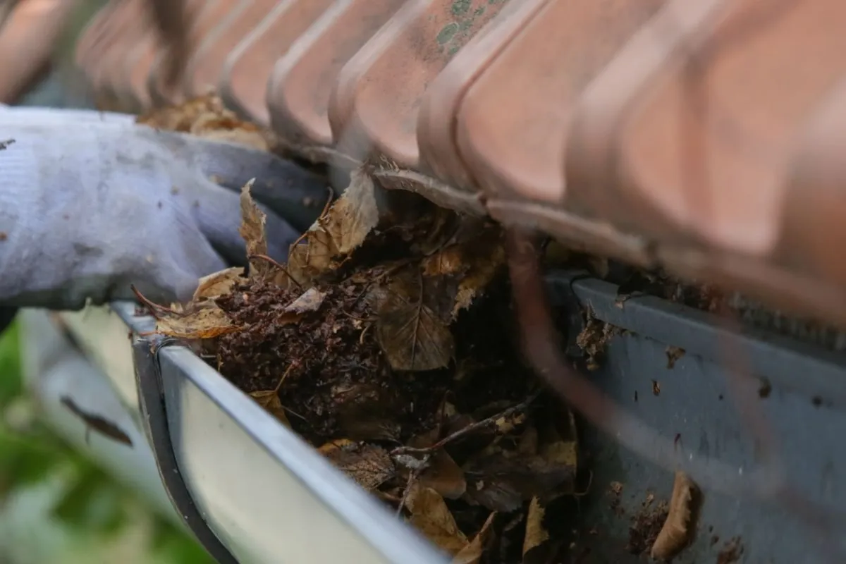 Gutter Cleaning Sydney North Shore