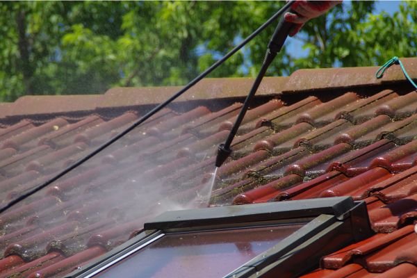 Professional Roof Cleaning services