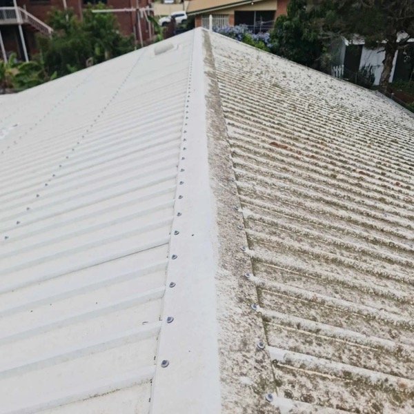 Metal Roof Cleaning - Roof Inspection in Sydney North Shore
