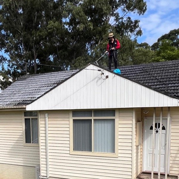 Tile Roof Cleaning - Roof Inspection in Sydney North Shore