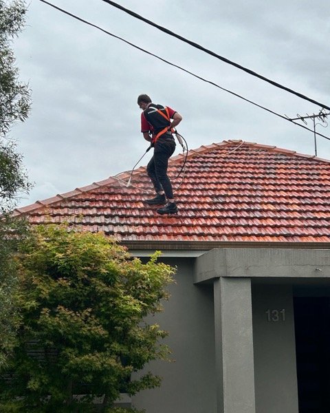 Tile Roof Cleaning - Professional Service in Sydney North Shore