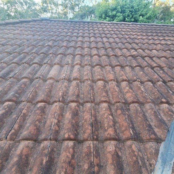 Tile Roof Cleaning - Final Inspection & Cleanup in Sydney North Shore